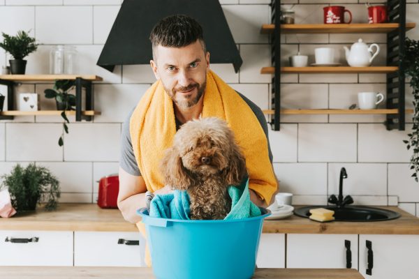Taking Care of Your Household Pets